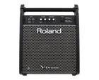 Roland PM-100 Personal Drum Monitor New. Price: $362.99.