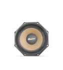 CX8PE21-PRO High-output Audio Midrange Speaker New. Price: $84.95.