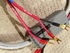 Mit Terminator 2 Bi-wire Hi-fi Speaker Cable 8' Single Used. Price: $150.00.