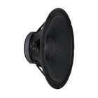 Peavey Pro Series 15 Inch Speaker New. Price: $149.99.