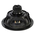 18 Sound 10NTLS2000 10" Woofer 700 Watts Midbass Speaker 8-OHMS New. Price: $247.00.