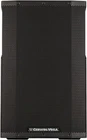 Cerwin Vega CVE-15 Pro Audio Bluetooth 15" 1000W Powered 2-WAY Loud Speaker New. Price: $859.99.