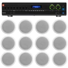 Jbl 2-CHANNEL AMP+(12) White 6" Ceiling Speakers For Restaurant/bar/office/cafe New. Price: $763.99.
