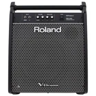 Roland PM-200 180 Watt V-drum Personal Monitor New. Price: $623.99.