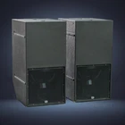 (2) Danley Sound Labs TH118XL Tapped Horn Touring Subwoofers Used. Price: $8990.00.