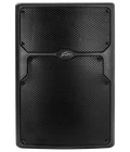 Peavey Pvx Passive 15" Loudspeaker New. Price: $499.99.