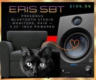 Presonus Eris E5 5.25'' 2-WAY Active Powered Studio Monitor Used. Price: $149.99.