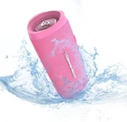 Cerwin Vega Vmpnk Mini Pink Portable Compact Powerhouse Bluetooth Speaker New. Price: $129.99.