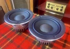 Jbl 218F-1 Woofers LSR28P LSR6328P With Mounting Rings Fully Tested *nice* Used. Price: $330.00.