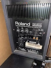 Roland Ds 50A Powered Monitor For. Price: $100.00.
