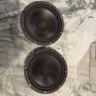 New Pair Of Eminence 8 4 Ohm Organ, Guitar Amp Speaker From Rogers Co. Price: $99.99.