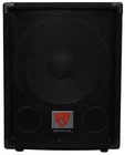 Rockville SBG1124 12" 600 Watt Subwoofer For Church Sound Systems New. Price: $119.95.