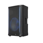Mint Gemini GD-L215PRO 1300-W Speaker W/ Bluetooth&led Party Lighting Used. Price: $300.96.