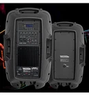 Tuman Pro TPS12-PARTY Speaker Pair 12IN Bluetooth Usb Rca Black Used. Price: $188.00.