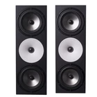 Amphion TWO18 Dual 6.5" Passive Studio Monitor New. Price: $7056.00.