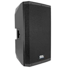 Riot 15P 15" Passive 2-WAY 900W Dj Speaker Cabinet New. Price: $329.99.