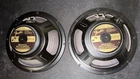 Fender V1030 Pair Musical Instrument Loudspeakers Used. Price: $150.00.