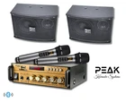 Peak Karaoke Gold System Package (echo & 600W) New. Price: $289.99.