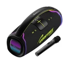 300W Portable Bluetooth Speaker With Handle, Microphone- Black New. Price: $178.94.
