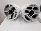 Wet Sounds Rev 10 Tower Speakers Tige' Atx Cans, Front Rgb Ring, No Mounts Used. Price: $1100.00.