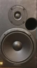 New Event 20/20 Bas Biamplified Monitor System (1 Speaker) (2 Available). Price: $300.00.