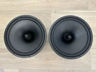 Acoustic Elegance DIPOLE15-D8 Open Baffle Woofers (pair) Used. Price: $1050.00.