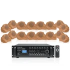 Sound Town 8-ZONE 70V/100V Amp & 16X IP56 Rock Speakers Brown (PAC1000X16RK82BR) New. Price: $1869.99.