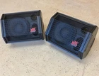 Apogee Sound Artist Stage Monitor Speakers Pair! Located In Florida Used. Price: $999.00.