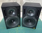 Behringer Truth B2031P Way High Resolution Speakers Used. Price: $225.00.