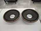 Fender D120F Speaker Unit Pair Very Good From Jp Used. Price: $1712.45.