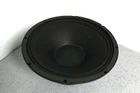 Radian 512/2 Dual Concentric Speaker Fresh Recone Used. Price: $147.96.