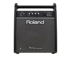 Roland PM-100 Personal Drum Monitor Open. Price: $329.99.